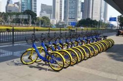 【详细教程】温州市工厂咨询热线电话_哔哩哔哩